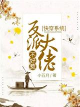 绫清玄封钰快穿