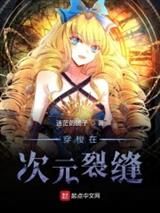 穿梭在次元裂缝